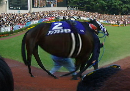 more.jpg (45617 oCg)