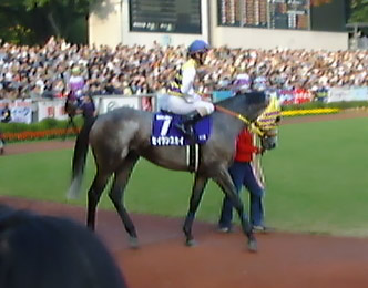 seiun.jpg (29225 oCg)