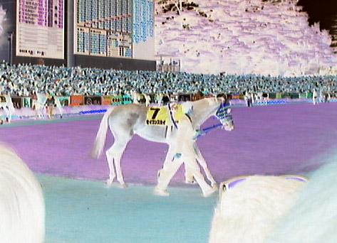 seiunnega.jpg (61635 oCg)