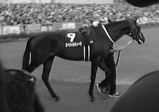 special.jpg (19614 oCg)