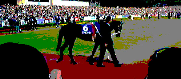 stay.jpg (96436 oCg)