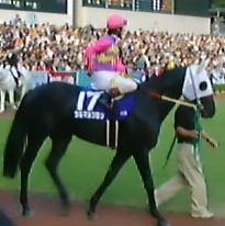 tsurumaru.jpg (18364 oCg)